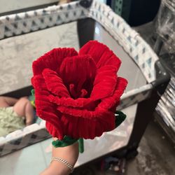 Beauty and the beast rose