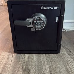 SentrySafe 1.2 Cu. ft. Fireproof Waterproof Biometric Fingerprint Lock
