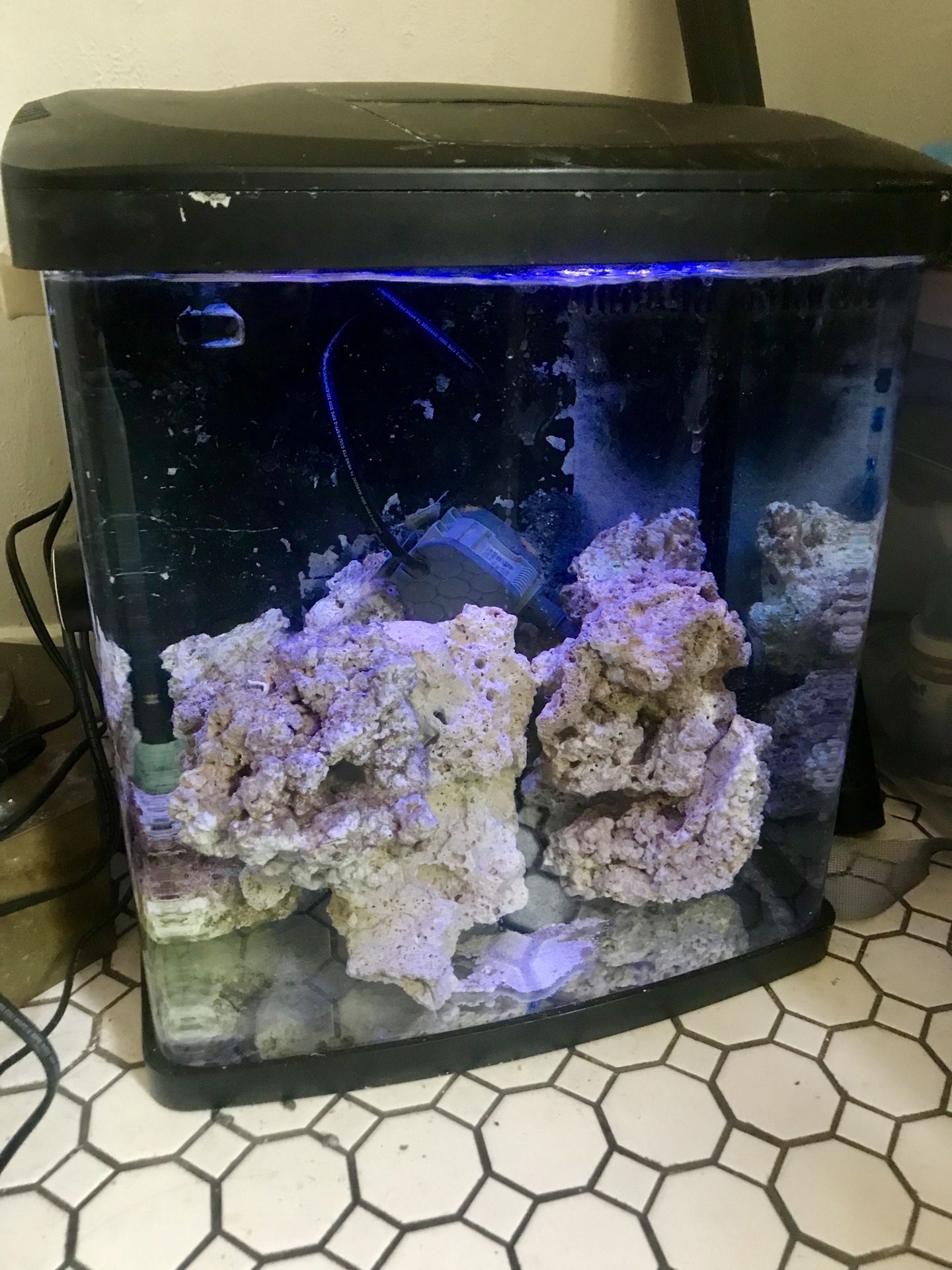 Coralife Led Biocube 16 Live Rocks Reef Saltwater Corals Fish Tank Aquarium For Sale In San Antonio Tx Offerup