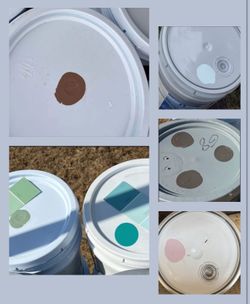 5Gal Paint All Colors Available