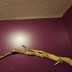 Drift Wood