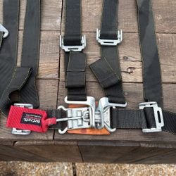 Master craft 4 Point Harness 