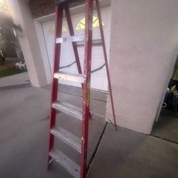6 Ft Ladder 