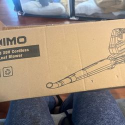 Cordless Leaf Blower 