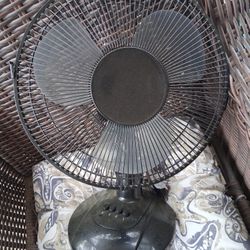 Fan 