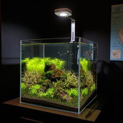 25 Gal 18x18x18 cube aquarium fish tank & stand