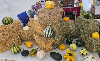 3x4x9 straw/hay bales/ gourds