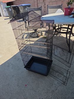 Bird Cage