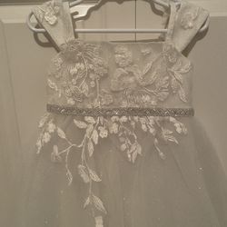 NEW Flower Girl Dress with Applique. Tags attached. Size 2T