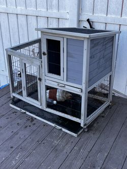Rabbit Hutch