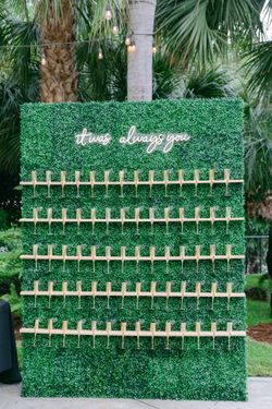 Greenery Seating & Backdrop Wall 