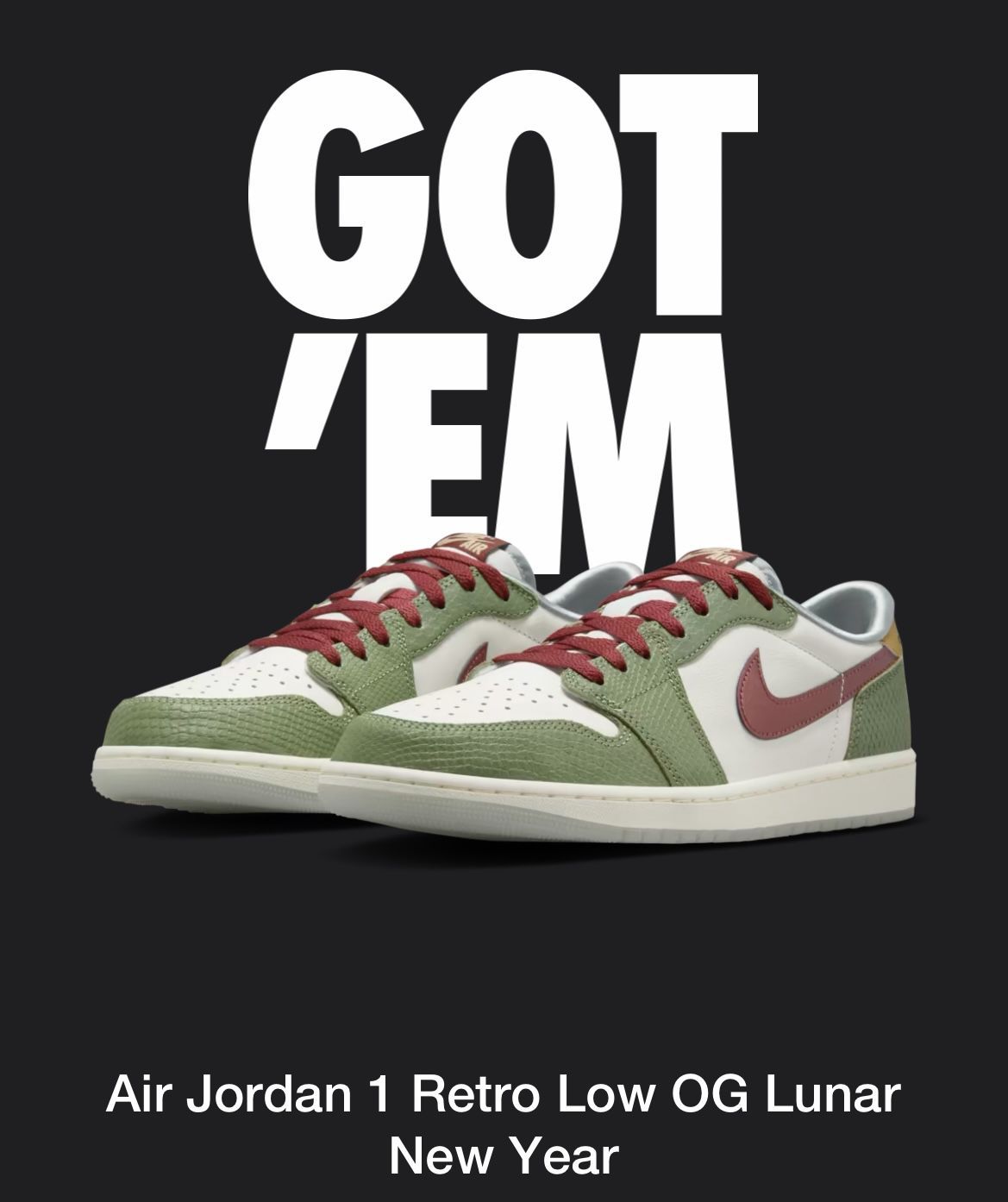 Nike Air Jordan Retro OG Lunar New Year