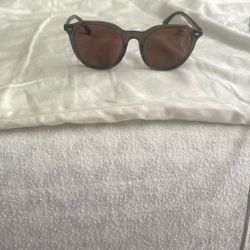 Brown Wayfarer Brand New Coach Sunglasses 