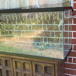 75 Gallon Fish Tank 