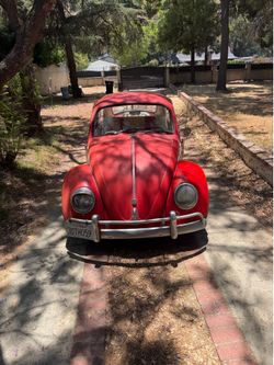 1966 Volkswagen bug