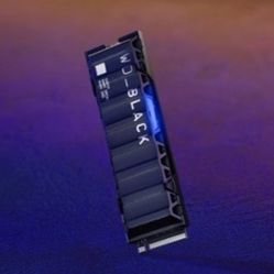 WD Black SN850 1TB SSD Internal Memory Drive 