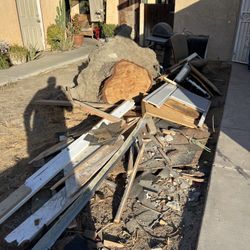 Tree And Stump