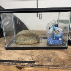Aquarium with screen cover
