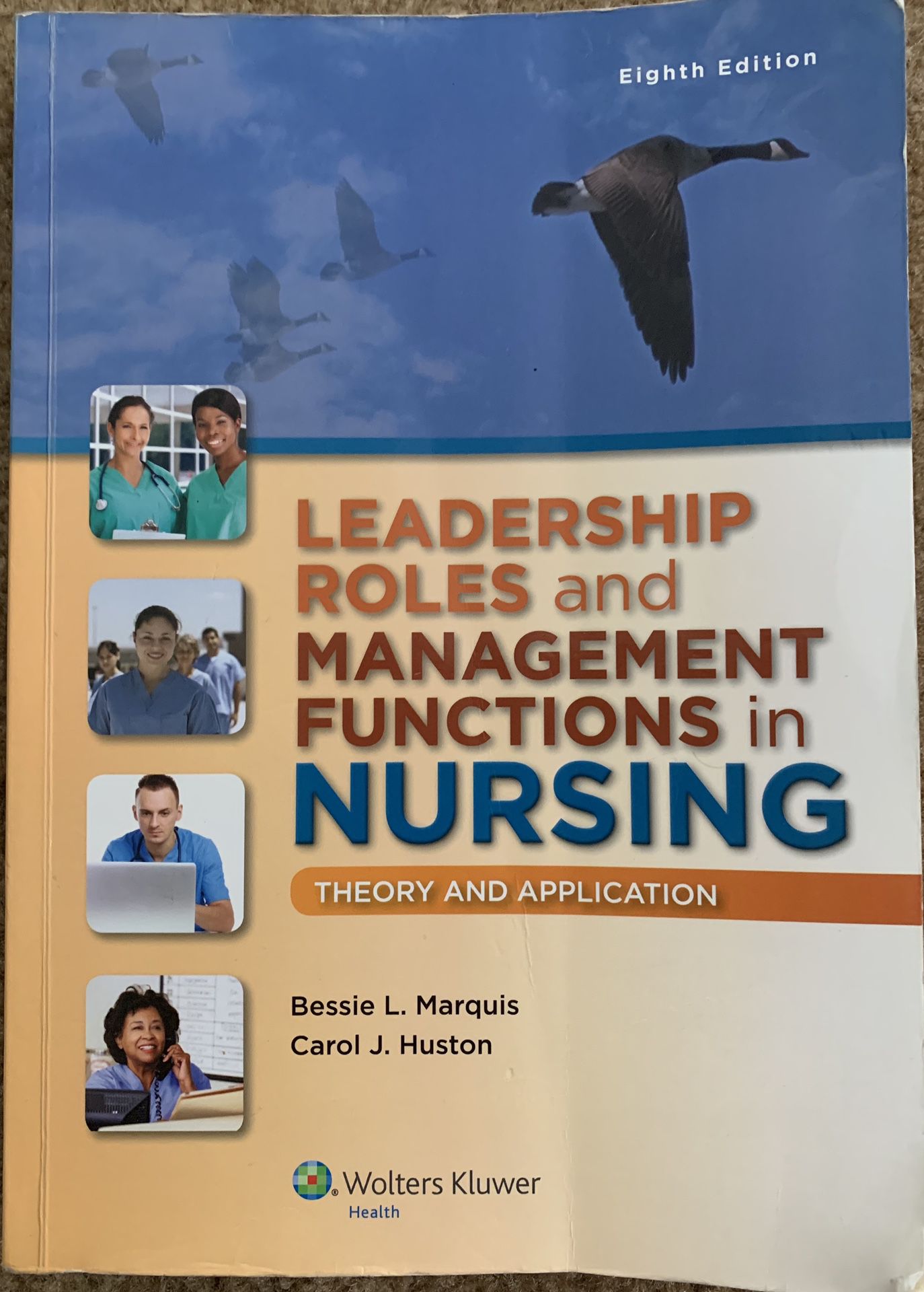 Leadership Roles and Management Functions in Nursing (Theory and Application)