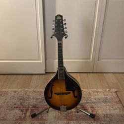 Rogue Mandolin Rm100a 
