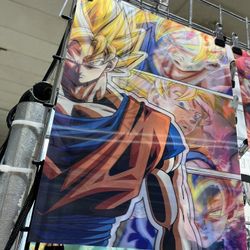 3D Anime Poster 11.6" x 15.5", Holographic Poster, dragon ball Z 3D poster 