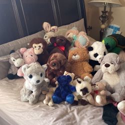 Stuffed Animals
