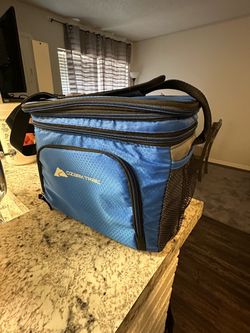 Lunch cooler