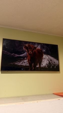 Framed Canvas