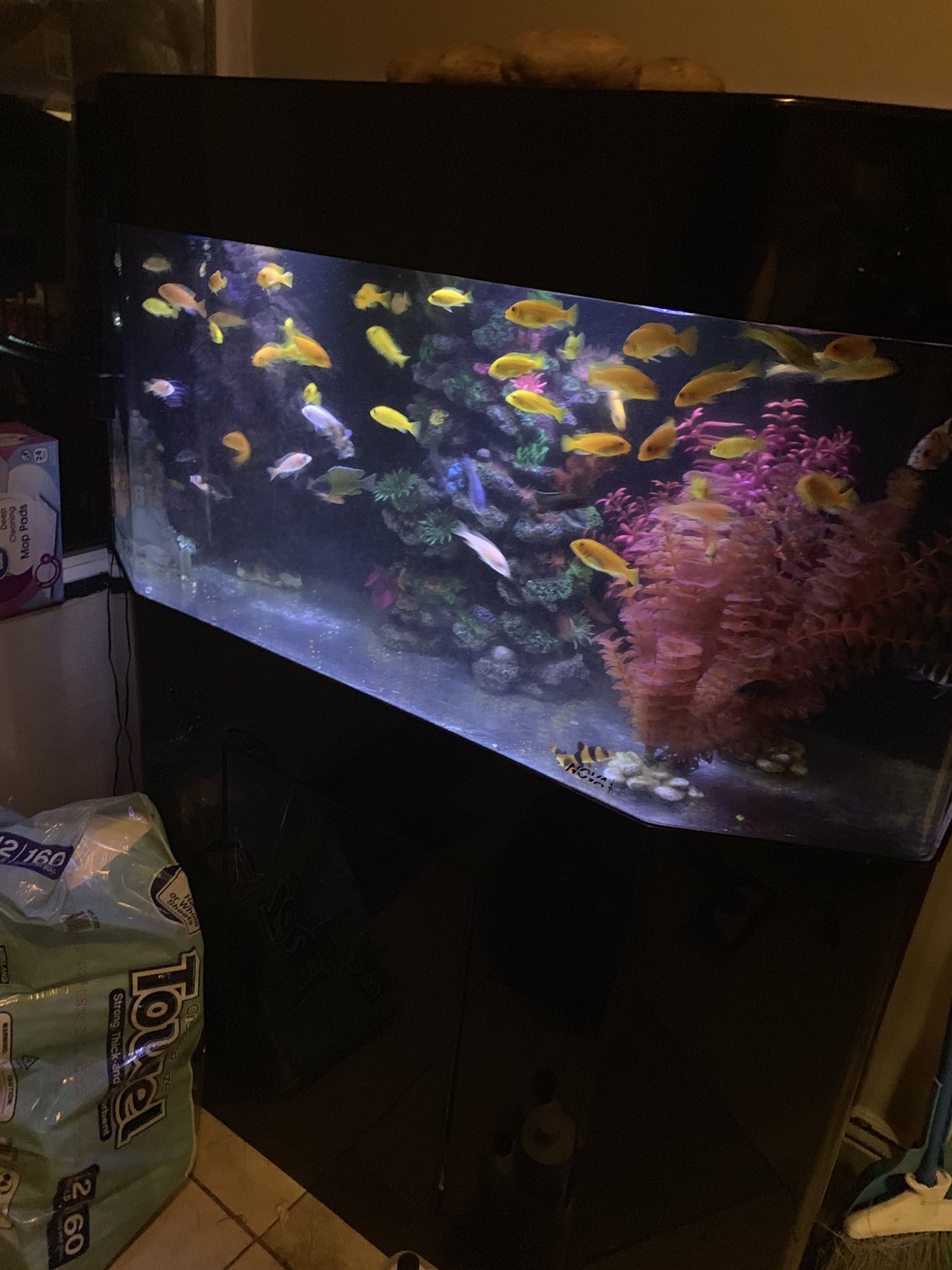Acrylic 75 gallon aquarium tank with built in filtration firm price