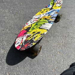  Skate Board