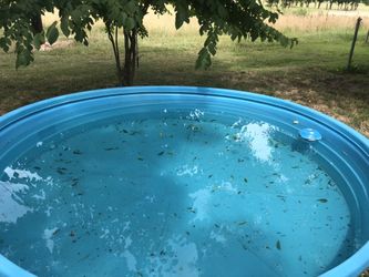 9’4” Polly Round Tank