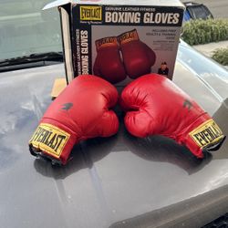 Signed Boxing gloves