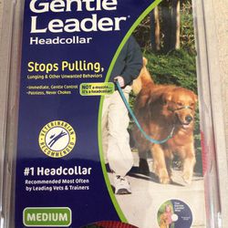 Gentle lead collar 