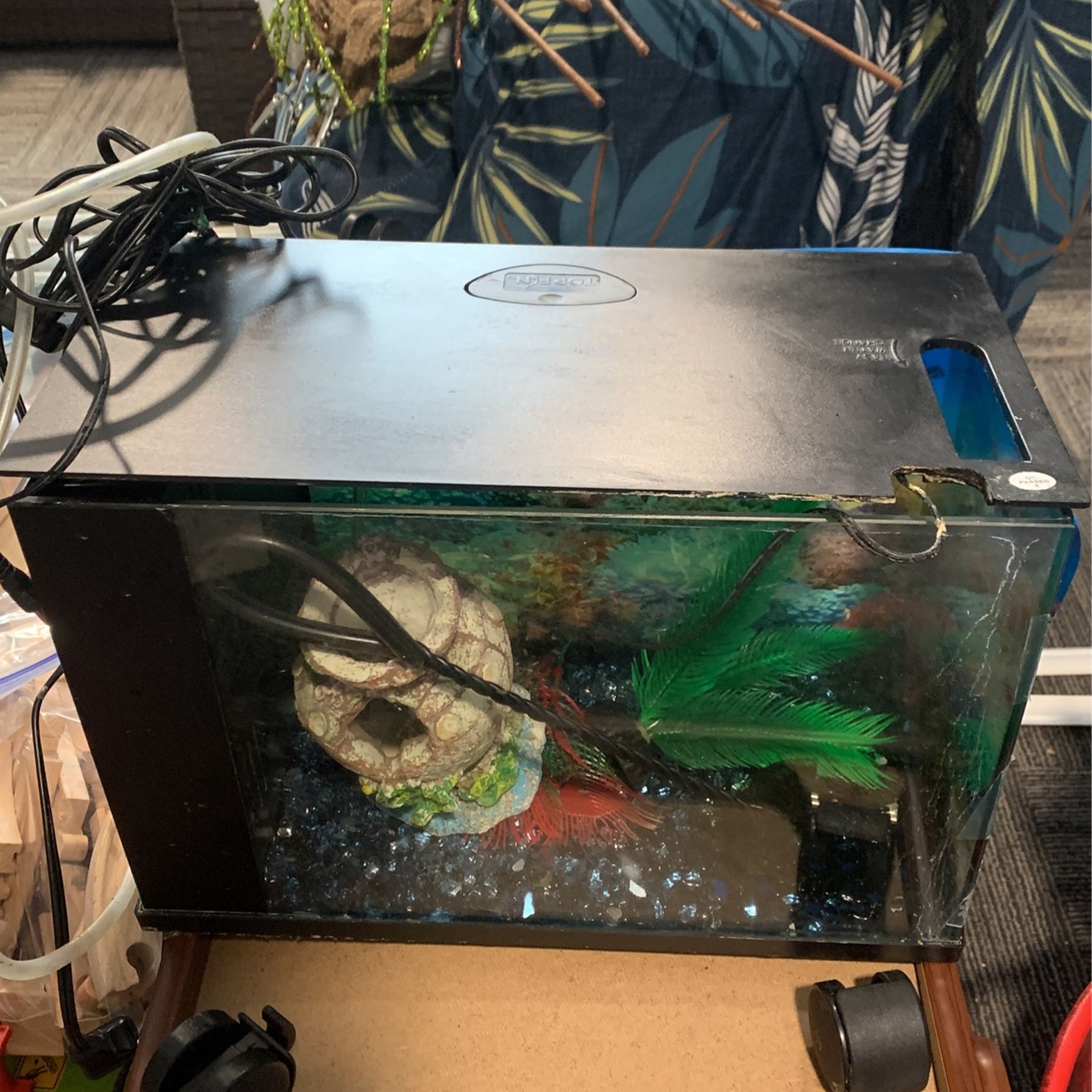 5 Gallon Fish Tank