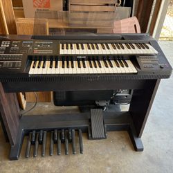 Organ 