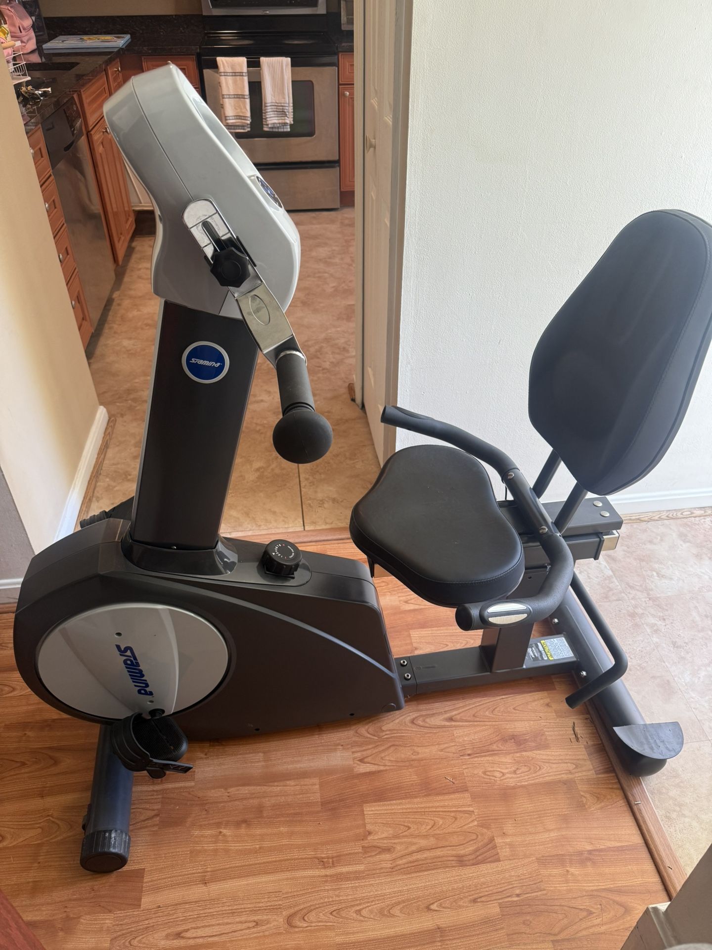 Stamina Elite Total Body Recumbent Bike