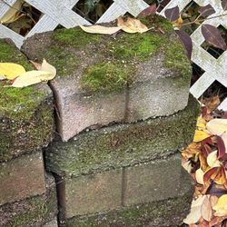 !!FREE!! Stone Yard Pavers !!FREE!!