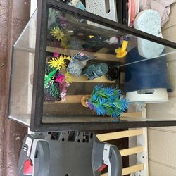 Fish tank