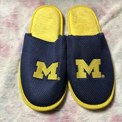 Michigan Size 11./12