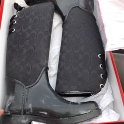 Coach Shoe