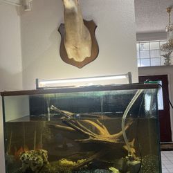 120 Gallons Fish Tank