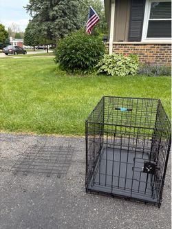 Wire dog crate