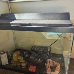 Fish Tank 
