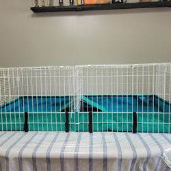 MidWest Guinea Pig Starter Cage & More 
