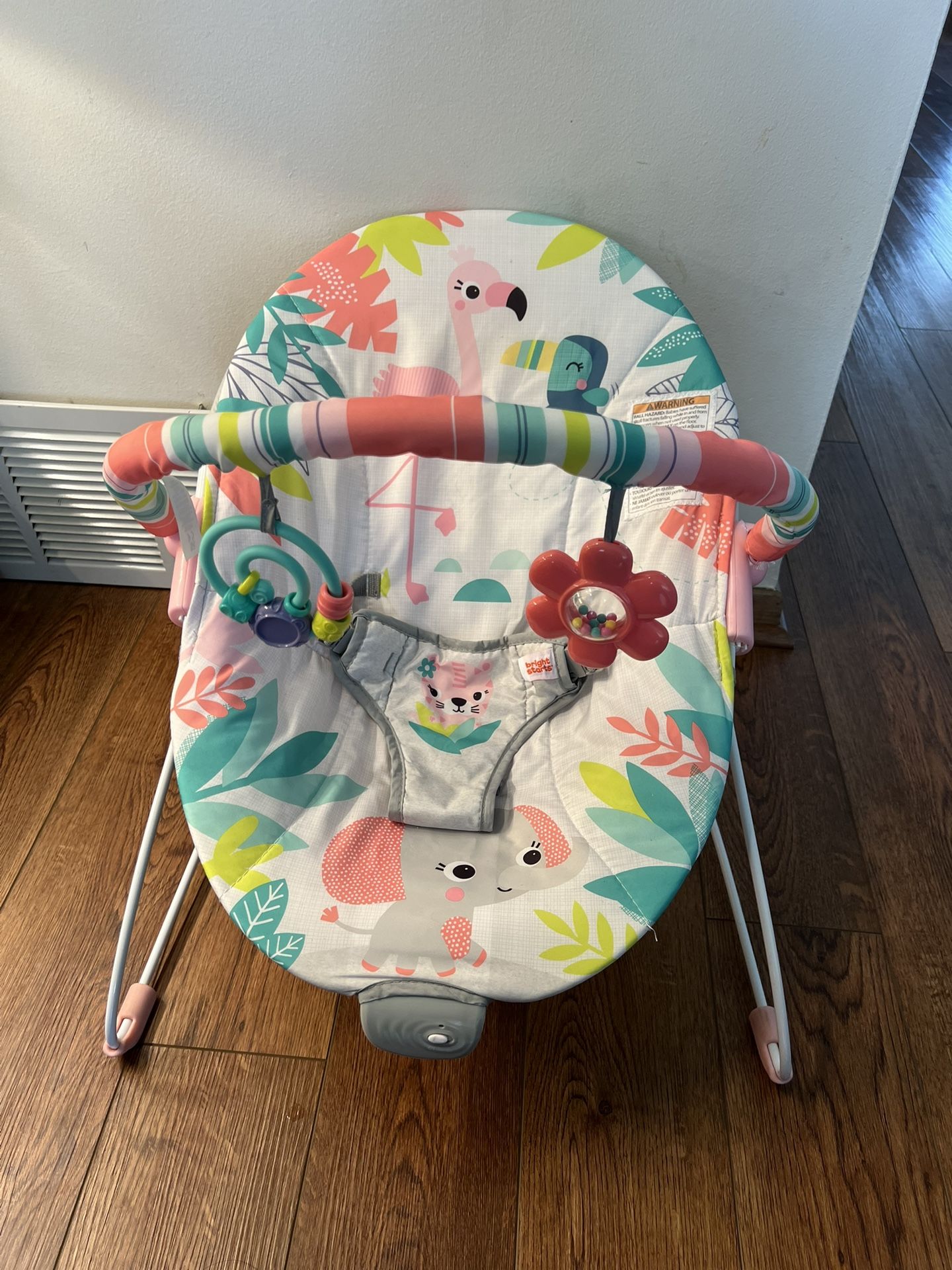 Baby Bouncer