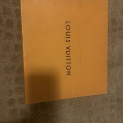 Louis Vuitton Heels/boots