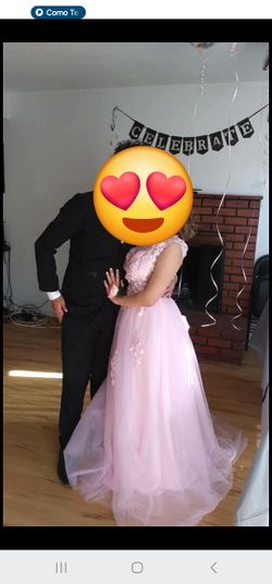 Quince Pink Tull Dress Size 6