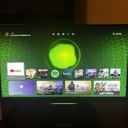 HP 25x Monitor