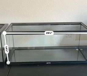Reptiles tank