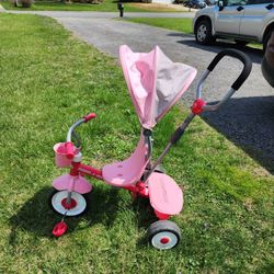 Radio Flyer 4-in-1 Stroll 'N Trike
